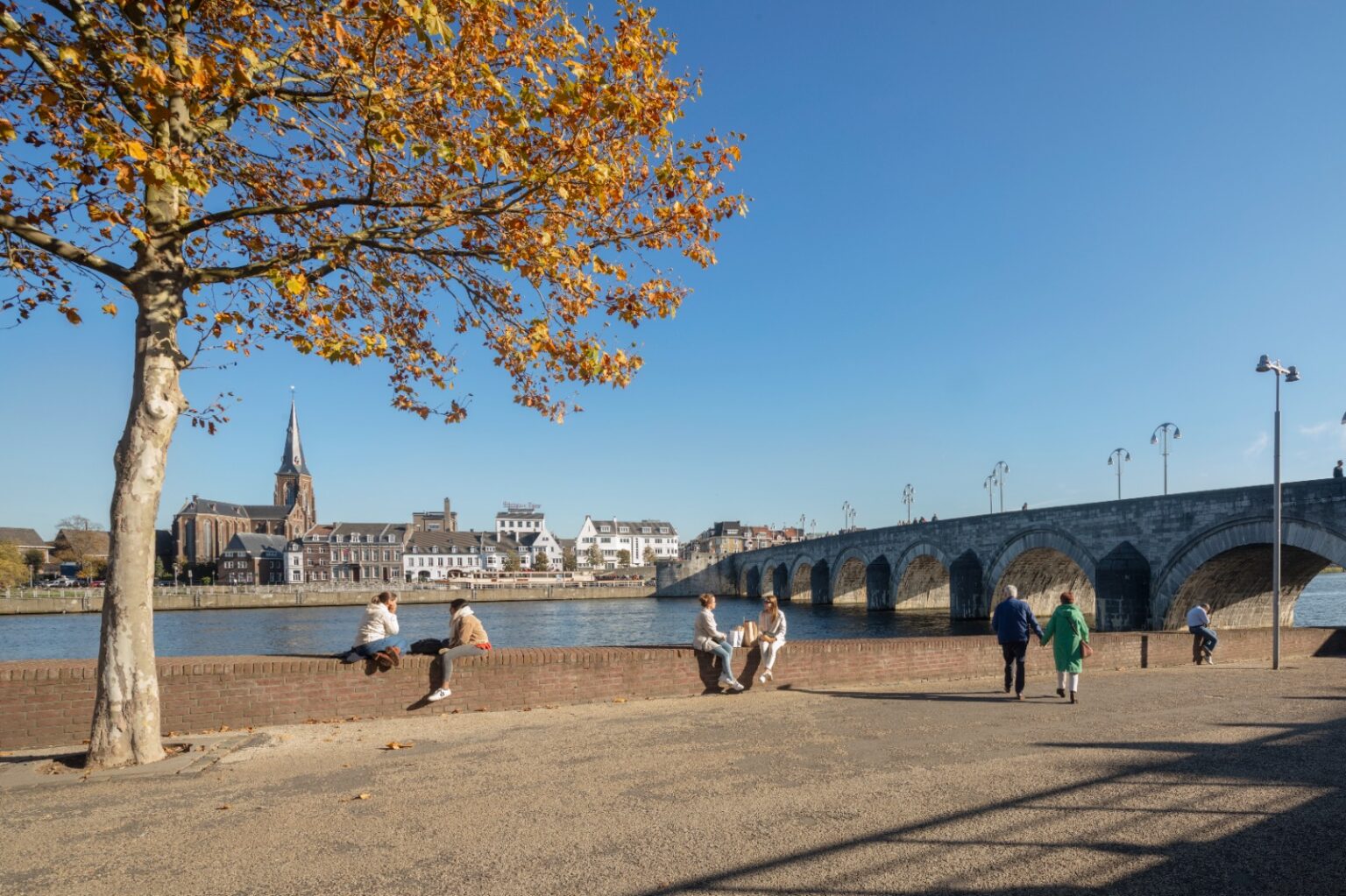 Annual Reports and accountability