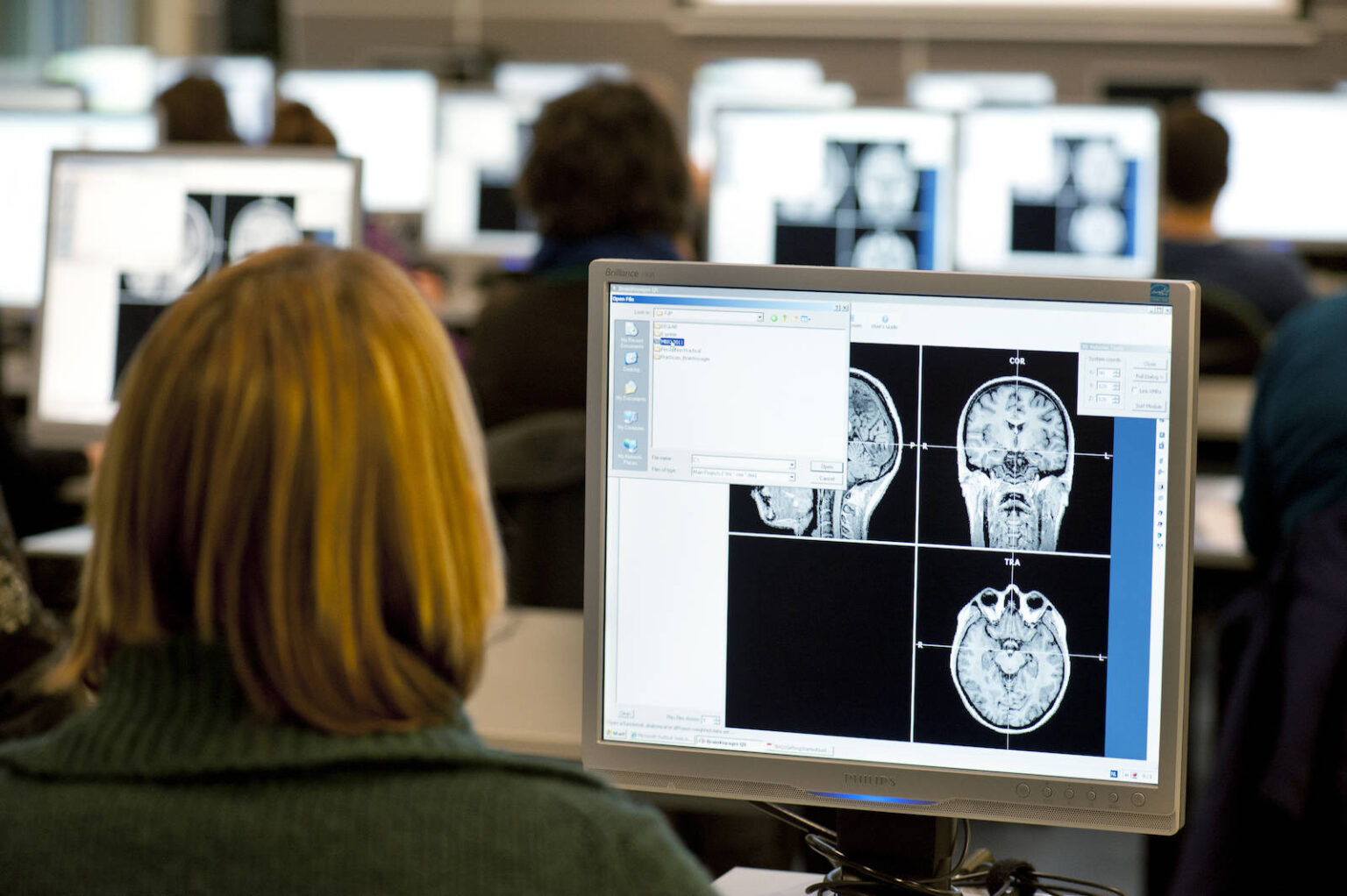 Brains Unlimited Pioneer Fund