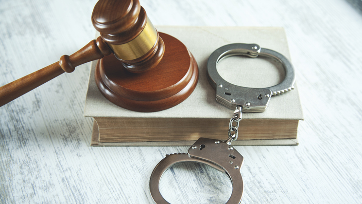 Support the investigation of wrongful convictions